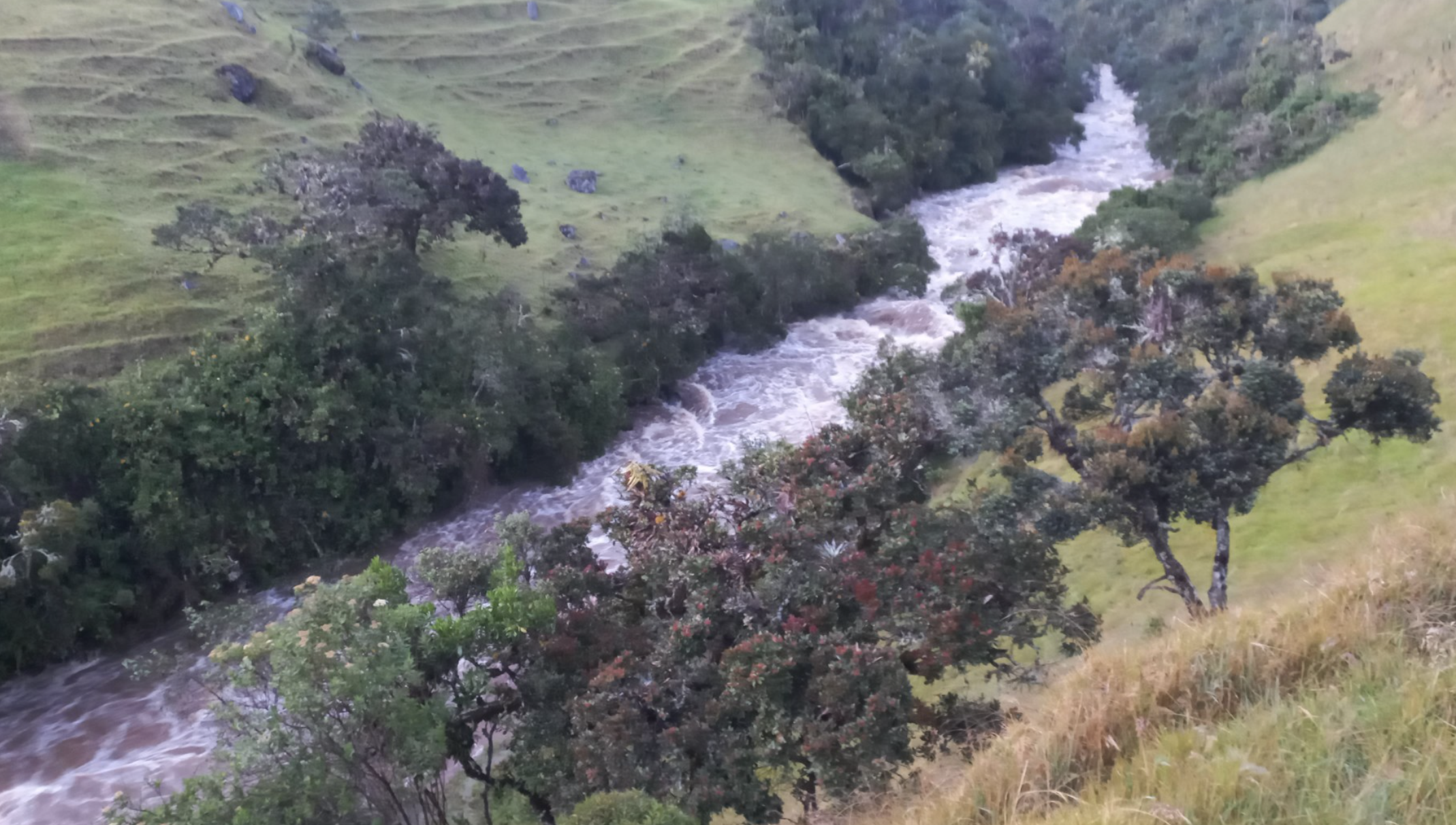 Captura de pantalla 2025-08-26 a la(s) 1.57.52 p. m.